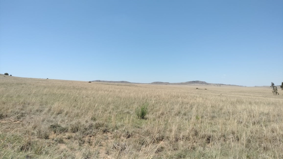  Bedroom Property for Sale in Bloemfontein Rural Free State